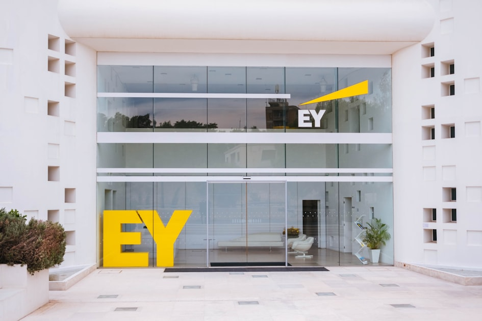 Efficient Structures for Business Growth